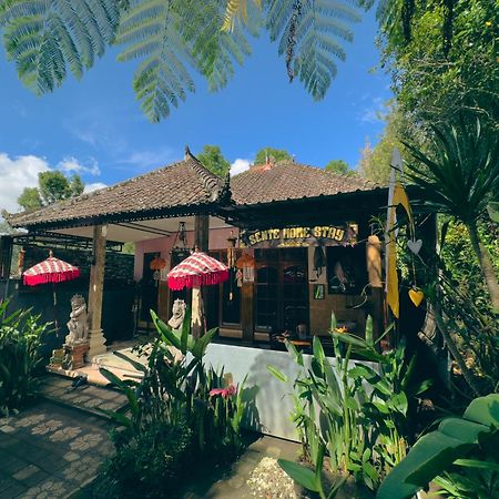 Homestay Sente Munduk  Exterior photo