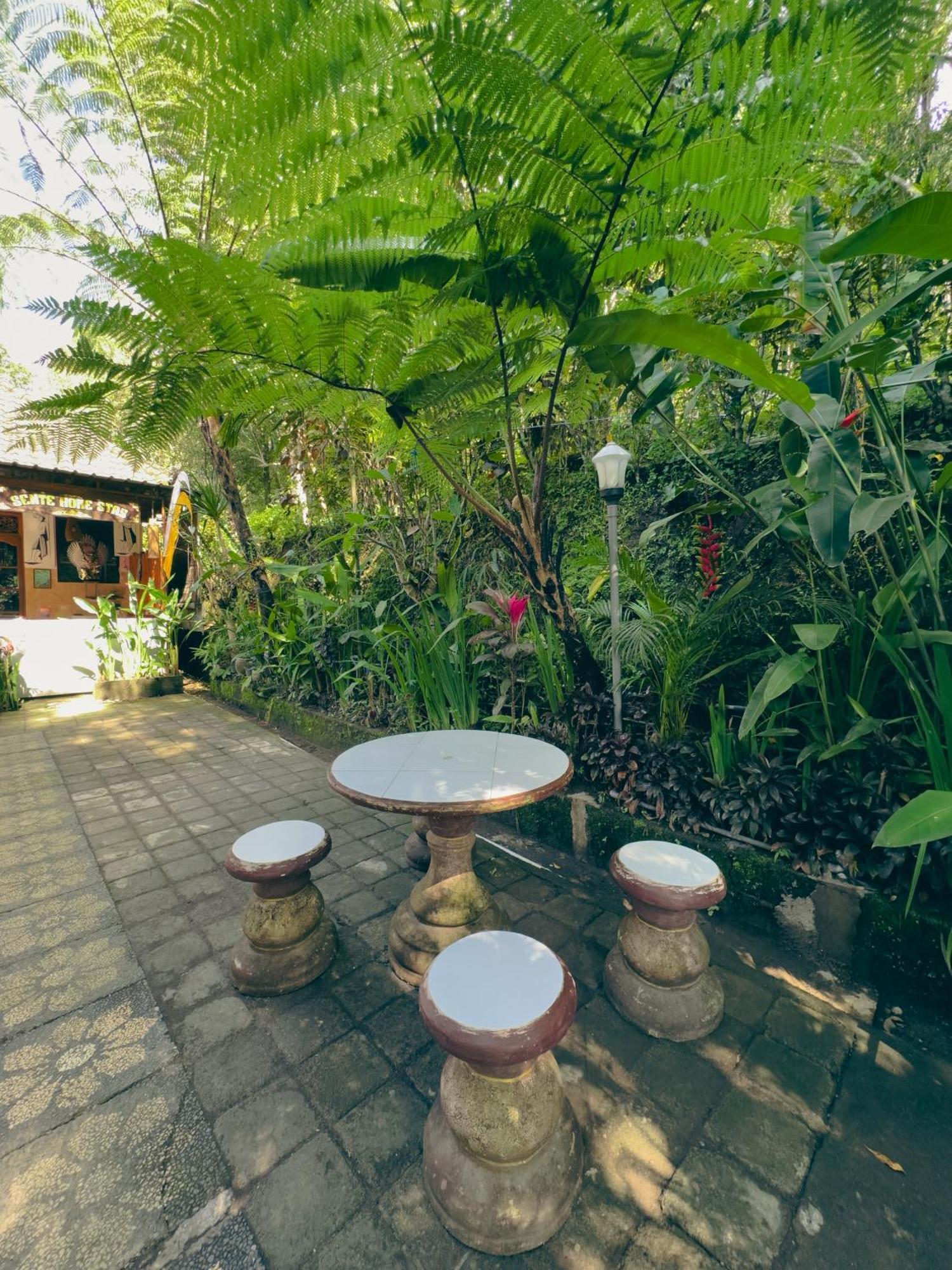 Homestay Sente Munduk  Exterior photo