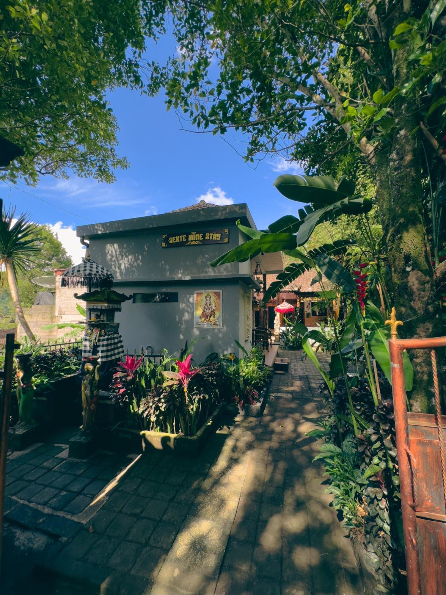 Homestay Sente Munduk  Exterior photo