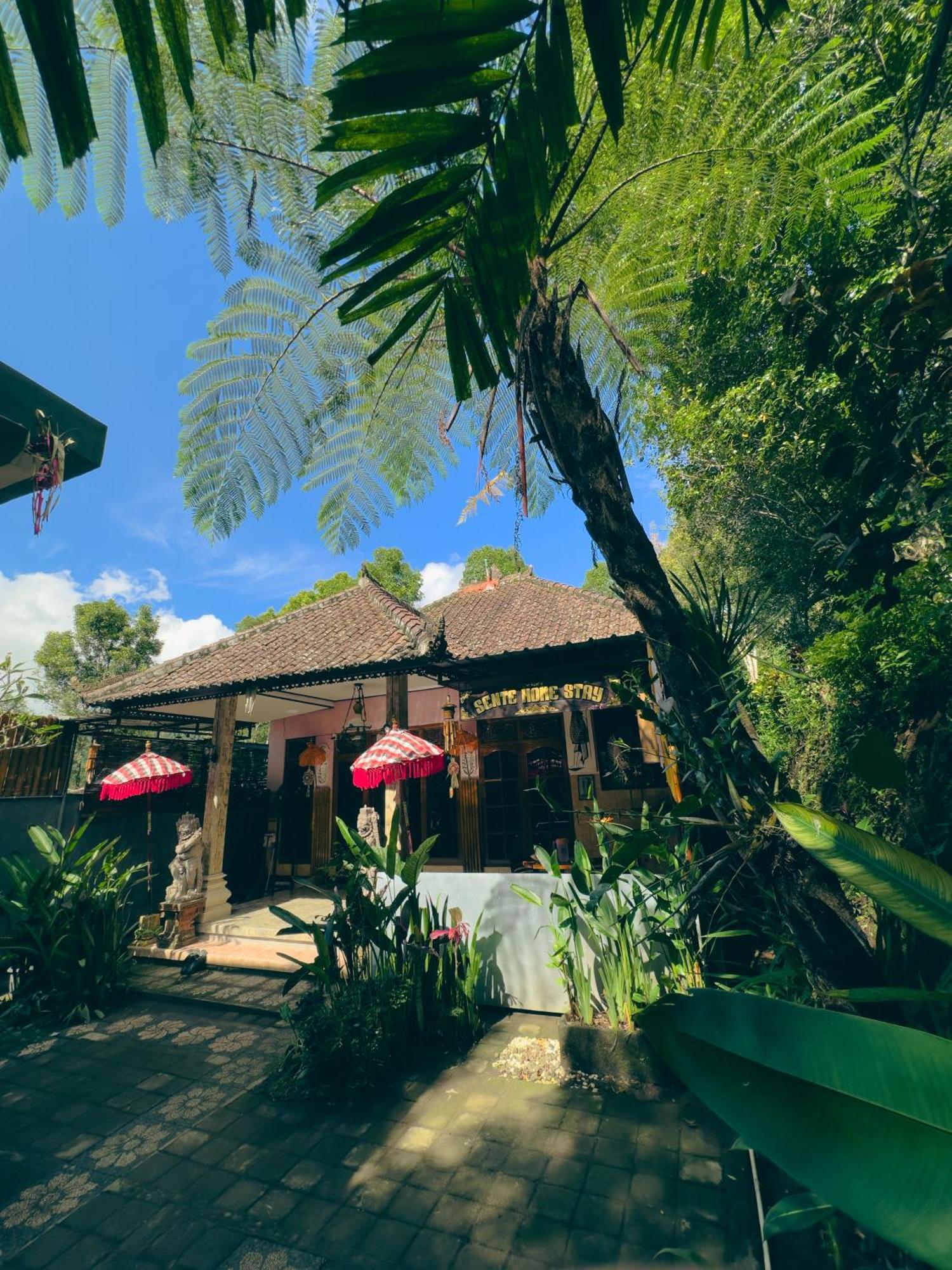 Homestay Sente Munduk  Exterior photo